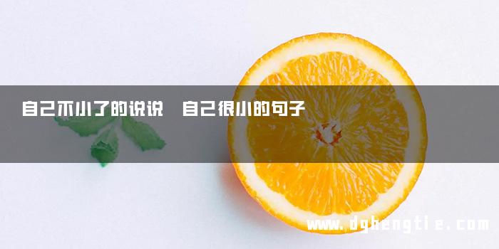自己不小了的说说 自己很小的句子